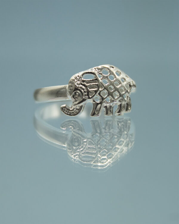 anillo