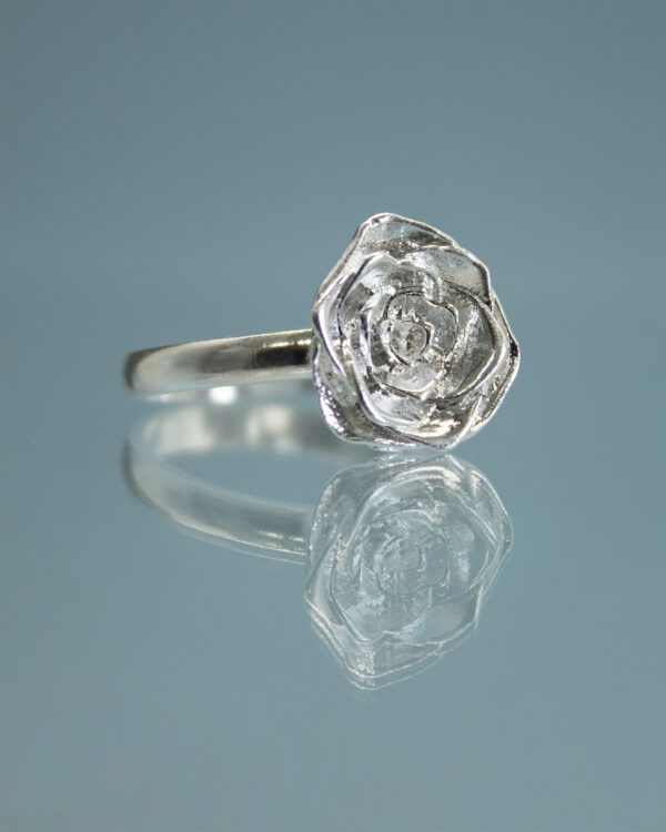 Anillo de Plata R-354