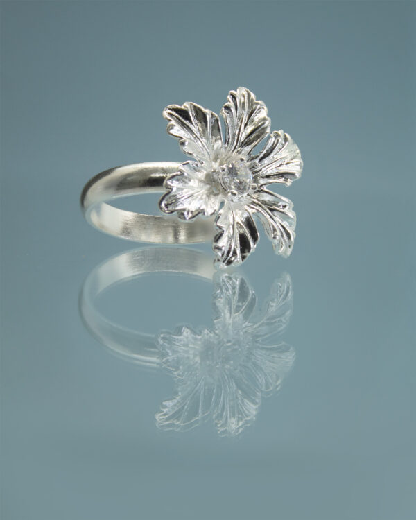 anillo
