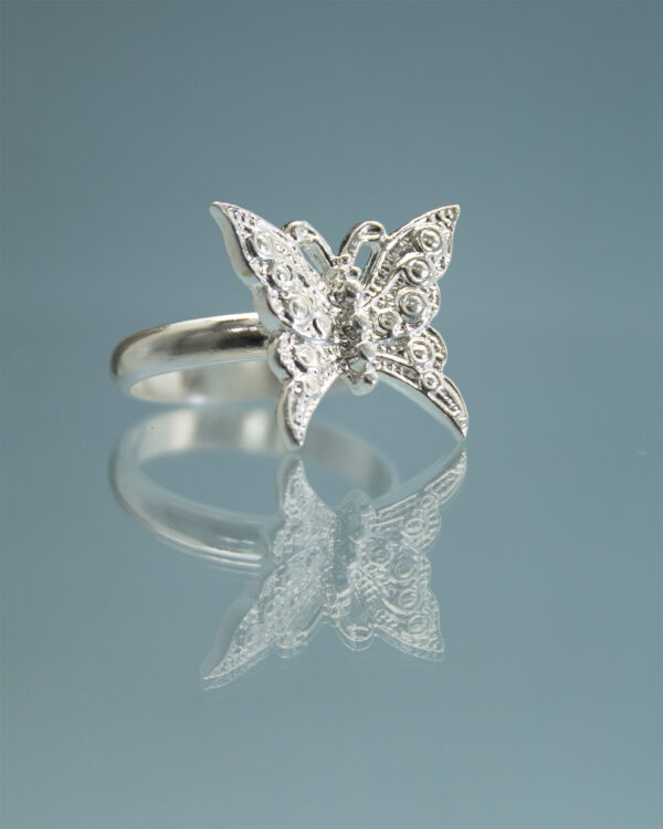 anillo