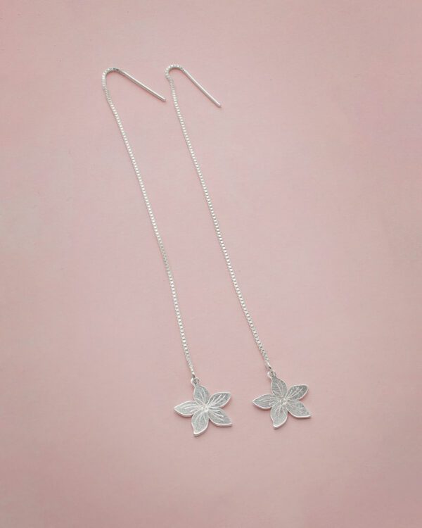 Aretes de Plata ALT-849