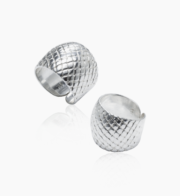 anillo