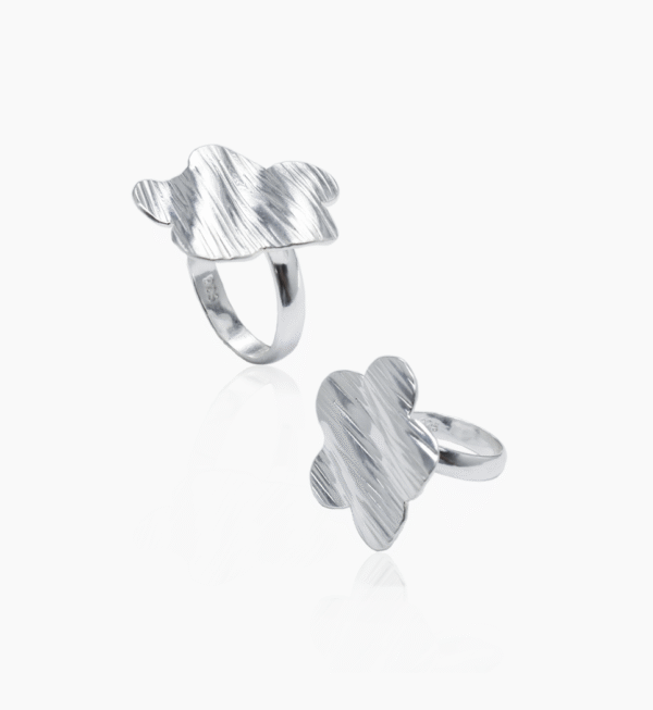 anillo