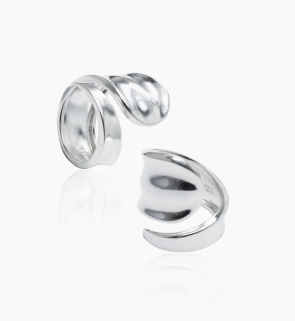 anillo