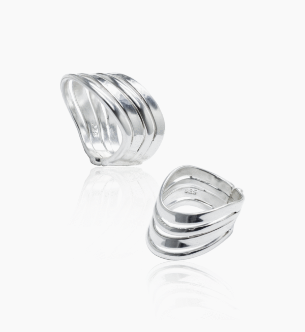 anillo