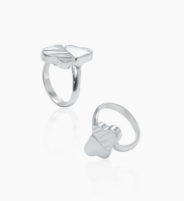 anillo