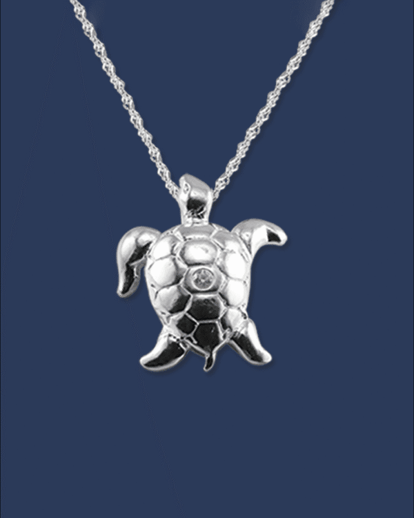 Dije de Plata D-007
